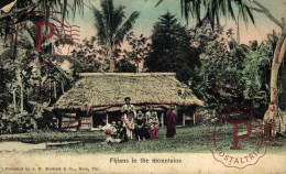 FIJI. FIJIANS IN THE MOUNTAINS. - Fidji