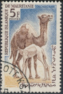 Mauritanie 1962 ~ YT 169 - Dromadaire - Mauritanie (1960-...)