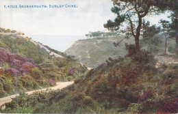 CHINE - BOURNEMOUTH - Durley Chine - Carte Postale Ancienne - China