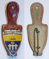 Insigne-Pompiers-FR_Pau - Pompieri