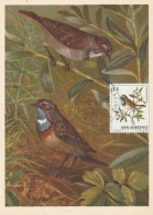 San Marino - Carte Maximum - Gorge Bleue  1972 - Sparrows