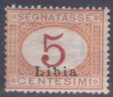 Italy Colonies Libya Libia 1915 Segnatasse Postage Due Sassone#1 Mint Hinged - Libië