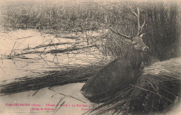 Forêt D'écouves * Chasse Au Cerf * Le Bat L'eau , étang De Radon * Chasse à Courre Hunt Hunting - Altri & Non Classificati