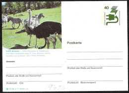 Germania/Germany/Allemagne: Intero, Stationery, Entier, Struzzo, Ostrich, Autruche - Autruches