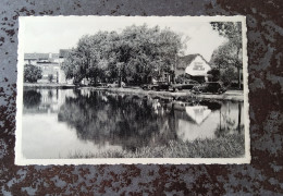 Wemmel Vijver Balcaen (visvangst - Restaurant) - Wemmel