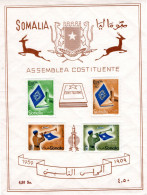 1959 19 GIU BLOCCO FOGLIETTO ASSEMBLEA COSTITUENTE GOMMA INTEGRA MOLTO BELLO  CV 40 - Somalia (AFIS)