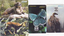 Andorra 4 Phonecards Chip - - - Animals - Andorra