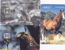 Andorra 3 Phonecards Chip - - - Animals - Andorre