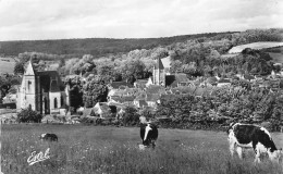 Longny Au Perche * Vue Générale Du Village * Pâturages Vaches - Longny Au Perche