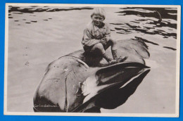 Denmark, Faroe Islands, Klakksvik , Grindehval, Boy And Pilote Whale, Garçon Et Baleine, Real Photo Postcard - Färöer