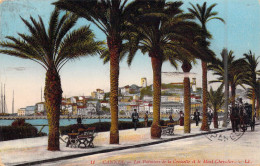 FRANCE - 06 - Cannes - Les Palmiers De La Croisette Et Le Mont-Chevalier - Carte Postale Ancienne - Cannes