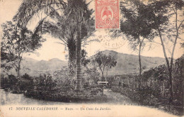 NOUVELLE CALEDONIE - MUEO - Un Coin Du Jardin - Carte Postale Ancienne - Nouvelle Calédonie