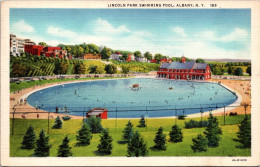 New York Albany Lincoln Park Swimming Pool Curteich - Albany