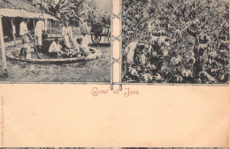 INDONESIE - Groet Uit JAVA  - Carte Postale Ancienne - Indonesien