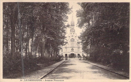 LUXEMBOURG - Avenue Pescatore - Edit Th Wirol - Carte Postale Ancienne - Andere & Zonder Classificatie