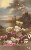 Pâques - Poussin Oeuf Panier - Fleurs - Carte Postale Ancienne - Easter