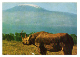 KENYA-- Rhinocéros  Devant Le Kilimandjaro - Kenya