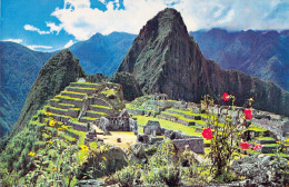 PEROU - Vista Parcial De La Ciudadela Y Huaynapicchu View Of Citadel - MACHUPICCHU - Carte Postale Ancienne - Perù