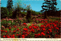 Oregon Portland Washington Park International Rose Test Gardens 1973 - Portland