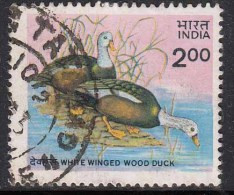 India Used 1985, Wildlife Conservation, White Winged Wood Duck, Bird   (sample Image) - Oblitérés