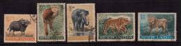 India Used 1963, Set Of 5, Animals, Lion, Elephant, Tiger, Gaur, Panda, Animal (sample Image) - Oblitérés