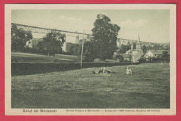 Salut De Moresnet -  Grand Viaduc - 1924 Voir Verso ) - Plombières