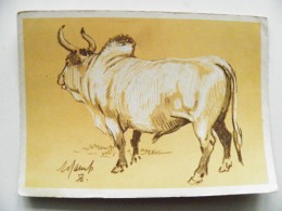 Post Card Ussr Animals Bull Art Painting 1956 - Taureaux