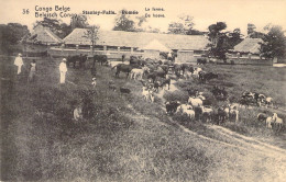 CONGO BELGE - Stanley Falls - Romée - La Ferme - Carte Postale Ancienne - Belgian Congo