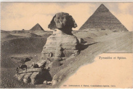 PYRAMIDES  ET  SPHINX - Sphinx