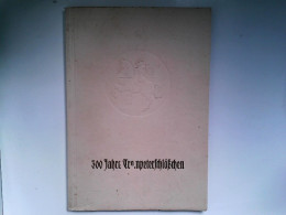 300 Jahre Trompeterschlößchen, Dresden. Mit Einladungsschreiben Einweihungsfeier Nach Umbau Und Sylvesterschre - Allemagne (général)