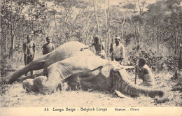 CONGO BELGE - Elephant - Chasse - Carte Postale Ancienne - Congo Belge