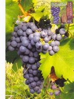 AGRICULTURE, VITICULTURE, GRAPES, MAXIMUM CARD, OBLIT FDC, 2021, MOLDAVIA-ROMANIA - Agriculture