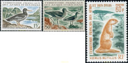 667664 HINGED AFARS E ISSAS 1967 FAUNA - Used Stamps