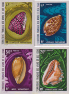 627906 MNH AFARS E ISSAS 1972 CONCHAS - Gebraucht