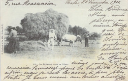 AGRICULTURE - Attelage - La Fenaison Dans Le Béarn- Carte Postale Ancienne - Attelages