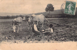 AGRICULTURE - Attelage - En Nivernais - La Vie Des Champs - Carte Postale Ancienne - Wagengespanne