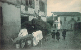 AGRICULTURE - Attelage - Pays Basque - Rentrée Des Foins Au Vieux Cambo - Carte Postale Ancienne - Attelages