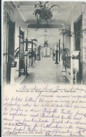 Melsele - (Beveren-Waas) - Pensionnat De Melsele-lez-Anvers - Vestibule - 1905 - Beveren-Waas