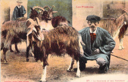 AGRICULTURE - ELEVAGE - Le Chevrier Et Son Troupeau - Les Pyrénées - Carte Postale Ancienne - Viehzucht