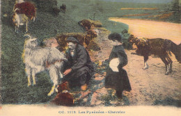 AGRICULTURE - ELEVAGE - Les Pyrénées - Chevrier - Carte Postale Ancienne - Allevamenti