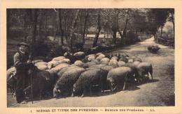 AGRICULTURE - ELEVAGE - Scènes Et Types Des Pyrénées - Berger Des Pyrénées - LL - Carte Postale Ancienne - Allevamenti