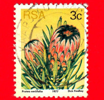 RSA - SUD AFRICA - Usato - 1977 - Sugarbushes - Protea Foglia Di Oleandro (Protea Neriifolia) - 3 - Gebraucht