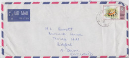 Îles Salomon Solomon Islands Honiara Enveloppe Lettre Timbre Coquillage Shell Stamp Air Mail Cover Letter - Solomon Islands (1978-...)
