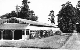 St Martin D'écublei * Colonie De Vacances De La Ville De Pantin , Le Réfectoire - Sonstige & Ohne Zuordnung