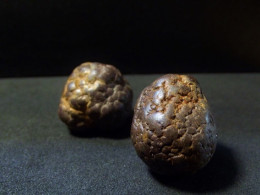 Marcassite Nodules  ( 2 X ( 2 X 2 X 2 Cm)) Wimereux - Pas De Calais - France - Minéraux