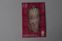 Delcampe - 6-575 Coquillage Erreur Sur Timbre  Schelp Coaja Schale Shell Ijuska Concha Skel Conchiglia Coaja Cascara Olive - Coneshells