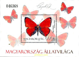 269069 MNH HUNGRIA 2011 MARIPOSA - Neufs