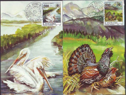 Yugoslavia 1992 European Protected Nature, Birds, Pelican, Wood-grouse, CAPERCAILLIE, 2 Maxicards - Pelikanen