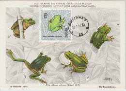 Pologne Carte Maximum 1963 Rainette 1264 - Maximum Cards