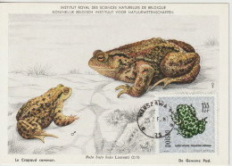 Pologne Carte Maximum 1963 Crapaud 1267 - Maximum Cards